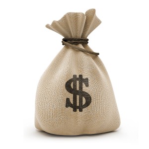 money-bags
